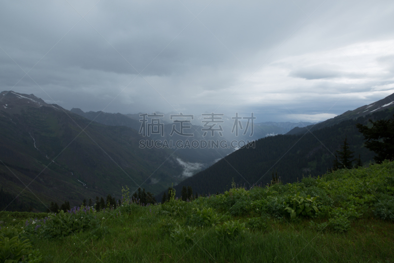 两只动物,白色,小路,山口,冰河峰荒野地,太平洋鸟冠小径,自然,水平画幅,地形,户外