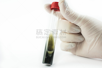 试管,实验室,细菌,拿着,手套,动物手,餐具,生物科技,水平画幅,装管