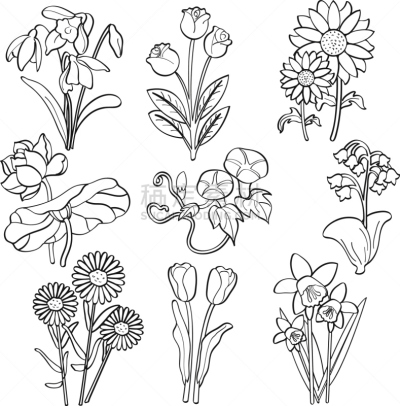 仅一朵花,向日葵,多花水仙,石斛,铅笔画,牵牛花,线条画,郁金香,绘画插图,计算机制图