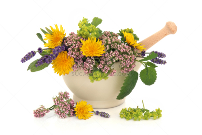 草本,多样,薰衣草色,熏衣草,顺势医学,替代医药,芦荟,蒲公英,温带的花,缬草属植物