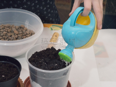 住宅内部,心脏移植术,移植手术,园艺手套,推土机,水平画幅,研磨食品,泥土,夏天,特写