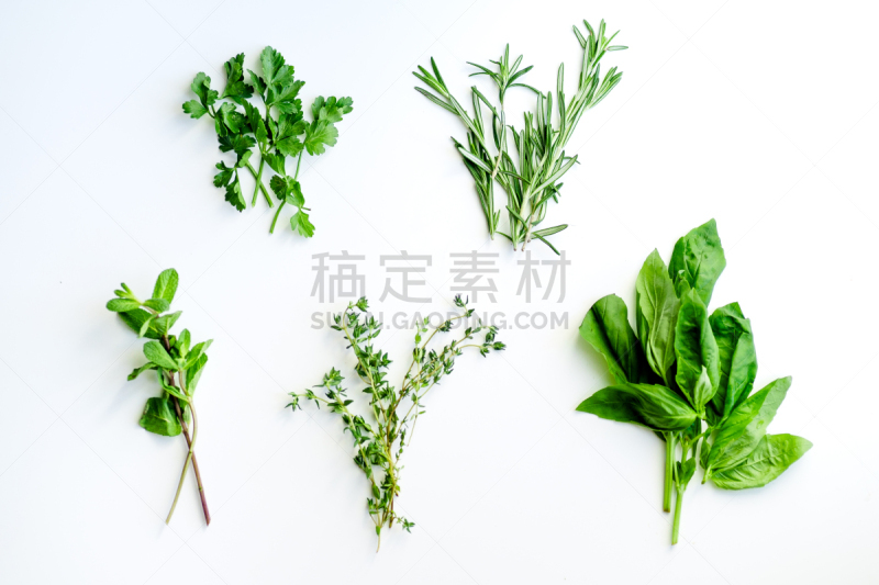 清新,草本,迷迭香,欧芹,花束,白色背景,百里香,小的,罗勒,薄荷