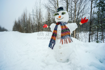森林,雪人,在边上,一个人,幽默,胡萝卜,水平画幅,雪,com域名