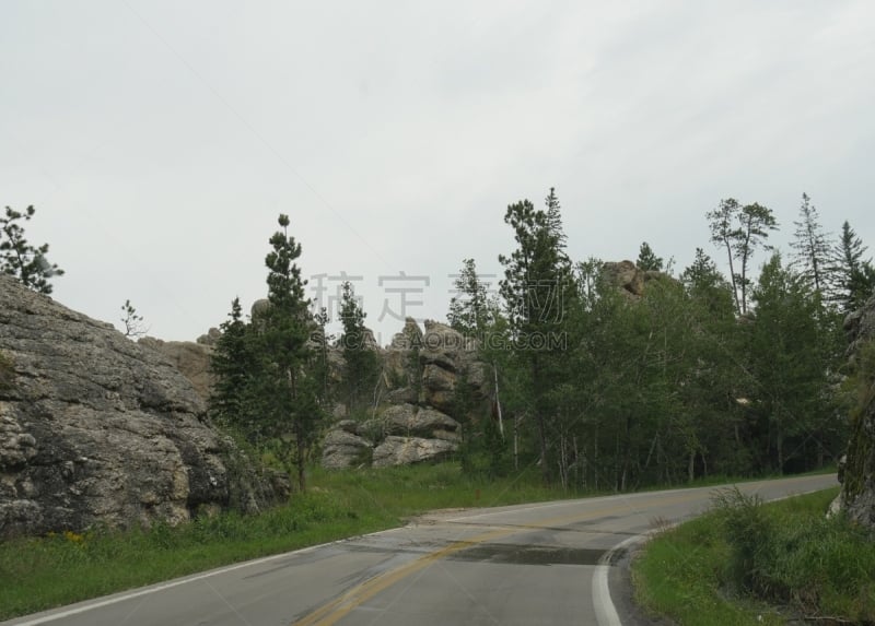 卡司特州立公园,公路,针叶,南达科他州,风景,田园风光,户外,夏天,蓝色,沥青