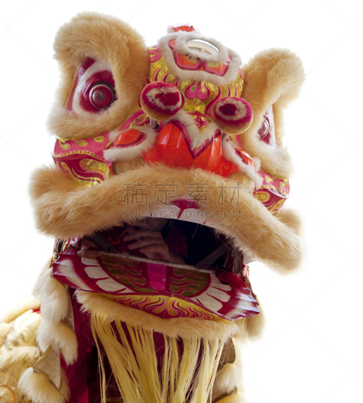 白色背景,动物头,狮子舞蹈,演出服,事件,部分,背景分离,春节,狮子