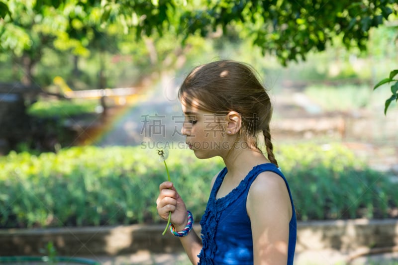 蒲公英,女孩,可爱的,青少年,草,仅一朵花,长发,毛绒绒,手镯,纯洁