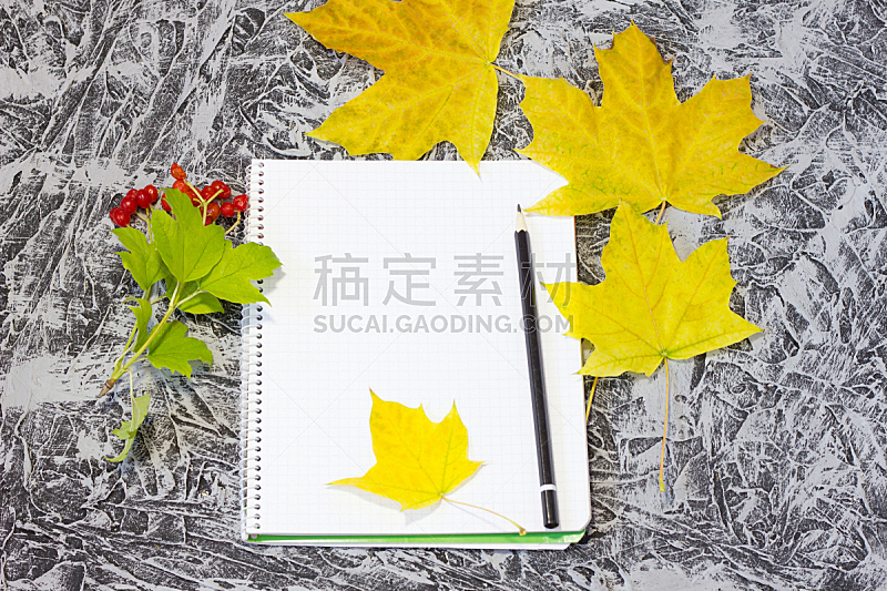 铅笔,秋天,笔记本,自然,黄色,红色,季节,杯,图像,叶子