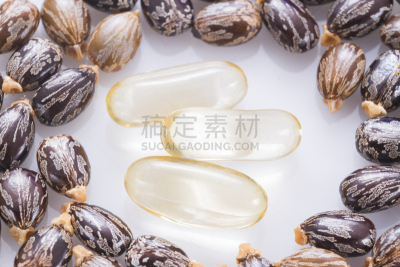 蓖麻,蓖麻油,种子,生物学,农业,气候,健康保健,药,替代医药,大戟科