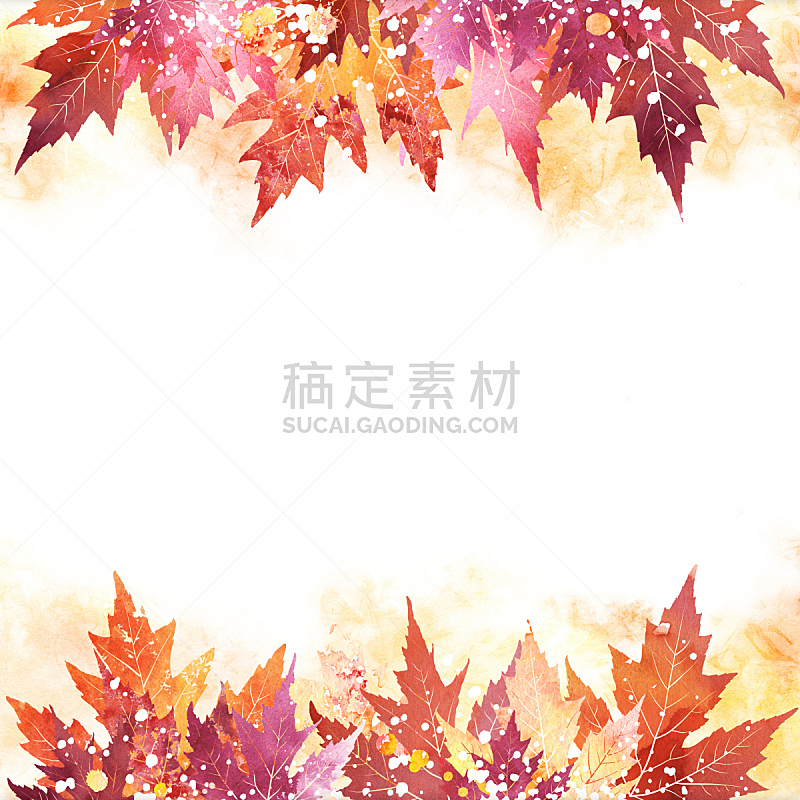 背景,秋天,叶子,九月,华丽的,十月,水彩画颜料,边框,橙色,枫树