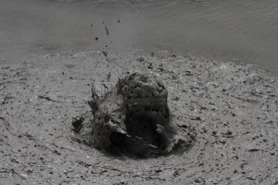 罗托鲁阿,新西兰,部分,两只动物,水,水平画幅,lake tarawera,无人,火山地形,户外