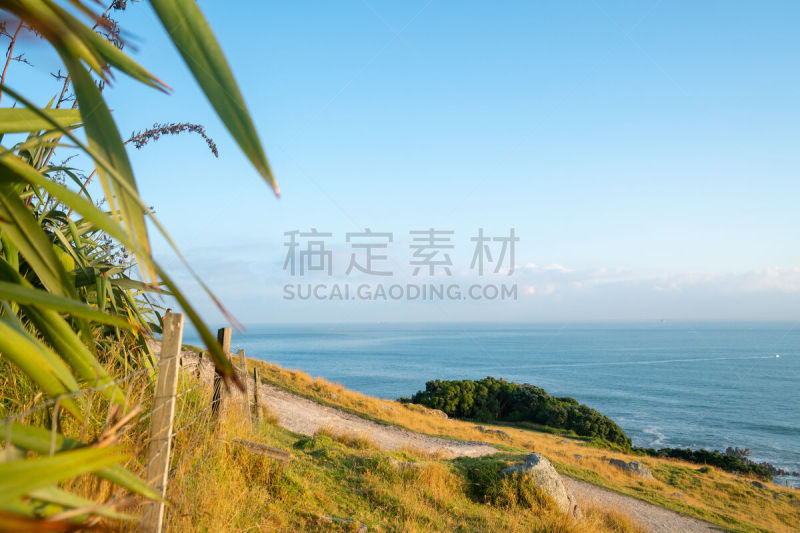 芒格努伊山,太平洋,蓝色,看风景,痕迹,丰盛湾,夏天,户外,天空,亚麻