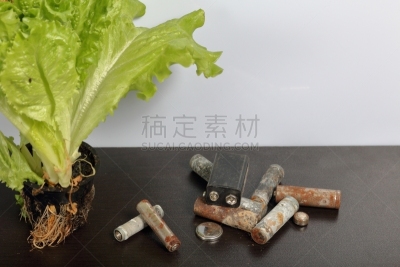 环境保护,电池,循环利用,地球日,锅,莴苣,绿色,活力,农业,有毒废物
