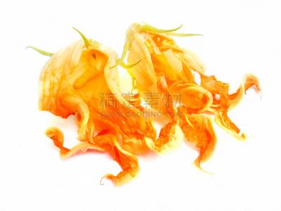胡瓜,仅一朵花,概念,素食,开胃品,绘画插图,干的,花束,清新