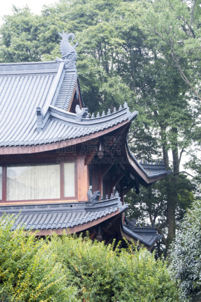 峨眉山,寺庙,在上面,成都,四川省,纪念碑,禅宗,天空,灵性,早晨