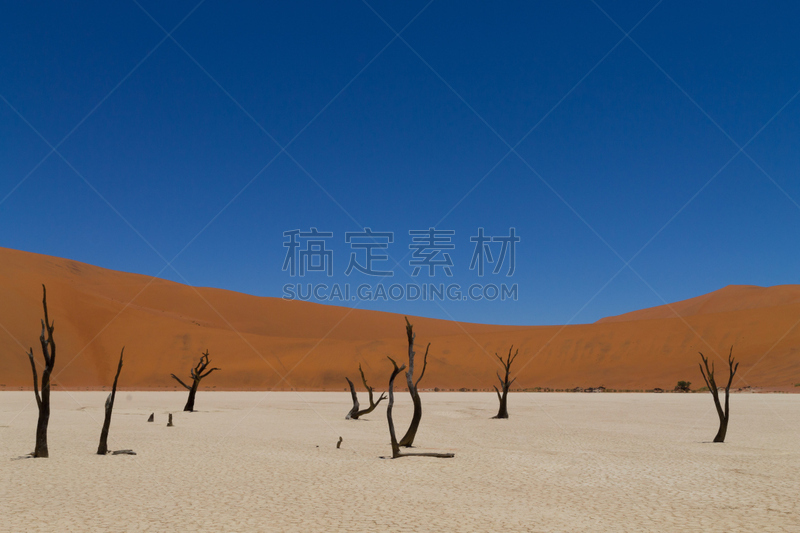 死亡谷,特索切普山峡谷,毛洋槐,瑟斯瑞姆,纳米布沙漠,苏丝斯黎,盐湖,金合欢树,沙漠,户外