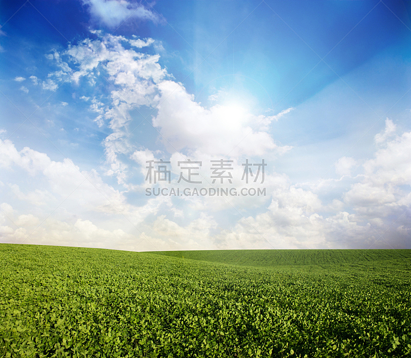 草地,农业,草坪,云景,环境,云,天气,草,春天,农场
