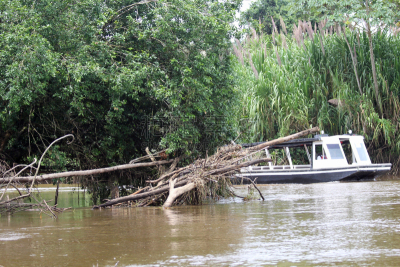 tortuguero national park,头球,里蒙省,哥斯达黎加,水,中美洲,旅游目的地,水平画幅,无人,户外