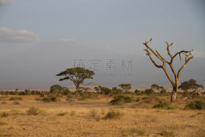 地形,乞力马扎罗山,阿卡库斯山脉,奥巴里沙海,费赞（利比亚西南区域）,利比亚沙漠,高积云,利比亚,面向陆地,卷积云
