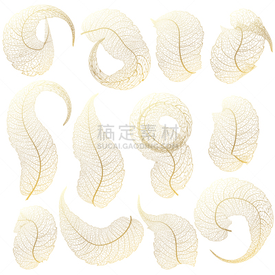 叶脉,叶子,十月,背景分离,环境,干花,自然美,堆,枫叶,植物