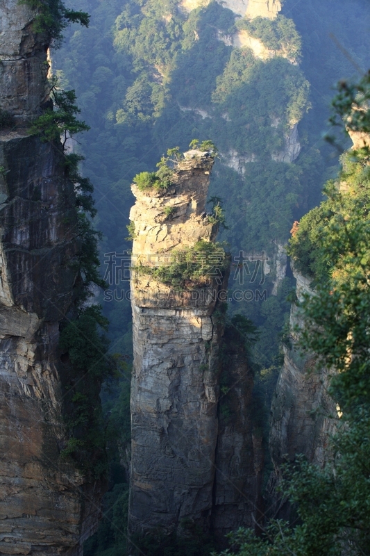 山,地形,天子山,武陵源,张家界,湖南省,垂直画幅,无人,夏天