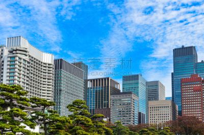 东京,日本,太空,格林公园,办公大楼,江户时代,星和园,天空,草,都市风景