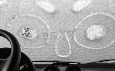 冻结的,汽车,风景,挡风玻璃,室内,正面视角,雪,平视角,陆用车,动物身体部位