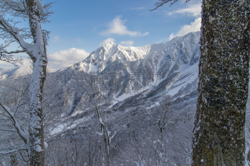 风景,冬天,山,daisen,鸟取,高尔夫球场,活力,风险,安静,山脊