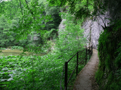 河流,街道,食管下括约肌,汝拉,沃州,实地考察旅行,自然,沟壑,水平画幅,地形