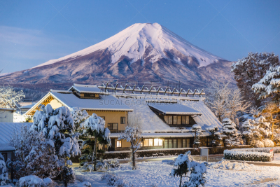 吉野,乡村,日本,野鸭,褐色,水平画幅,雪,巨大的,干的,湖