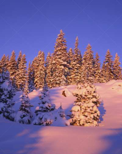 冬季仙境,大平顶山国家森林,越野滑雪,越野赛跑,垂直画幅,天空,洛矶山脉,休闲活动,雪,无人