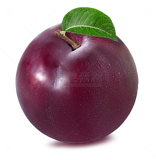 李子,白色,一个物体,紫色,白色背景,水果,有机食品,农业,垂直画幅,素食