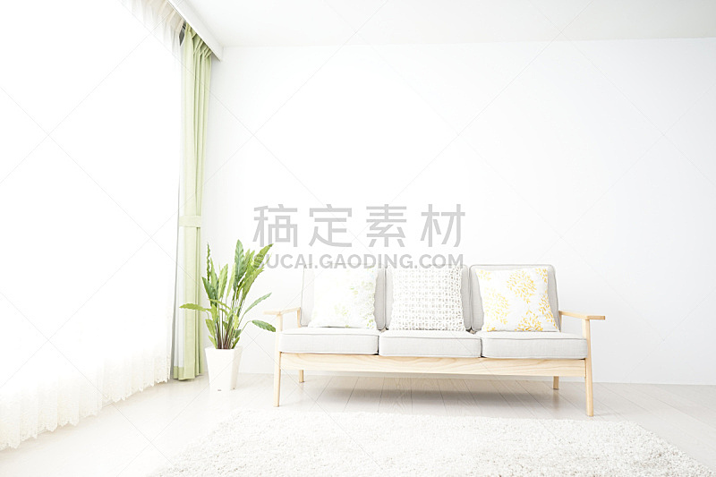 白色,起居室,室内植物,沙发,窗户,水平画幅,无人,窗帘,地板,地毯