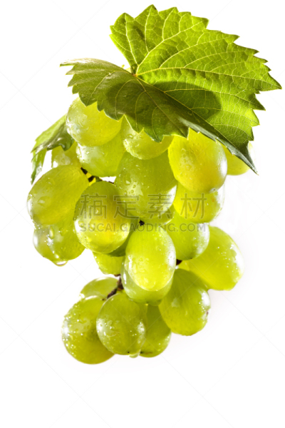 白葡萄,玫瑰香葡萄,垂直画幅,素食,无人,生食,夏天,甜点心,白色,植物