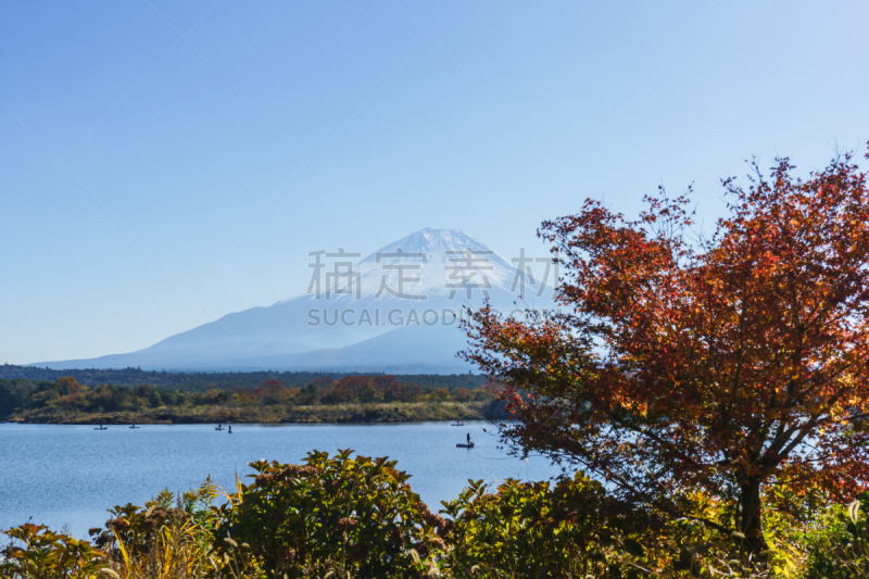 富士山,叶子,秋天,天空,美,里山,休闲活动,水平画幅,雪,户外