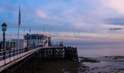 英国,英格兰,码头,沃辛,椋鸟,苏塞克斯,黄昏,北美歌雀,著名景点,鸟类