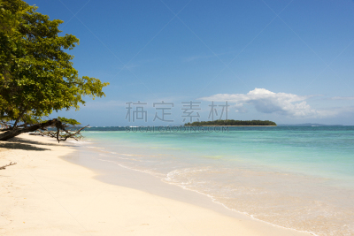 海滩,岛,鸡尾酒,博卡斯德尔托罗省,荒岛,巴拿马,水,留白,沙子