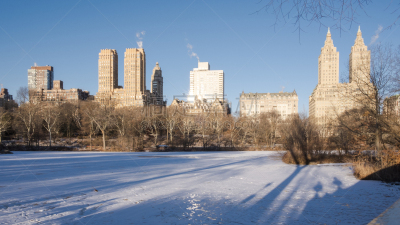 冬天,中央公园,雪,新年,早晨,湖,秃树,都市风景,现代,纽约