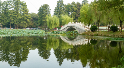中国,桥,地形,户外,白昼,春天,绿色,石材,宁静,旅游目的地