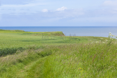 约克郡,小路,英国,海岸地形,夫兰巴洛岬,多佛的白色悬崖,white cliffs,草原,水平画幅,户外