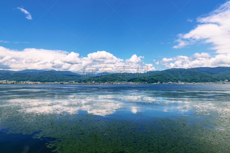 苏瓦湖,风景,水,天空,城镇景观,水生植物,水平画幅,云,长野县,无人