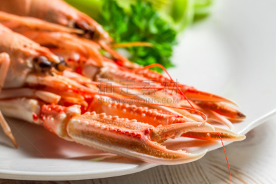 食用大虾,盘子,挪威海蜇虾,炖鱼,扇贝,龙虾,留白,芳香的,水平画幅,无人