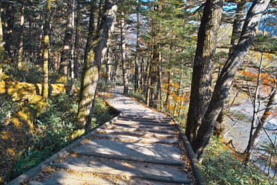 上高地国家公园,秋天,散步道,在之间,度假胜地,水平画幅,长野县,无人,夏天,户外