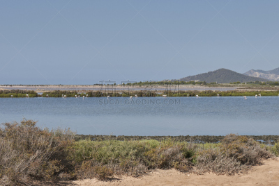 Ibiza landscape