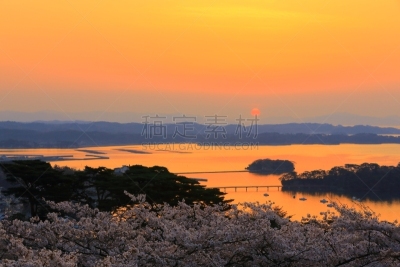 松岛,樱花,公园,妈祖,背面视角,水平画幅,无人,早晨,户外,海滩