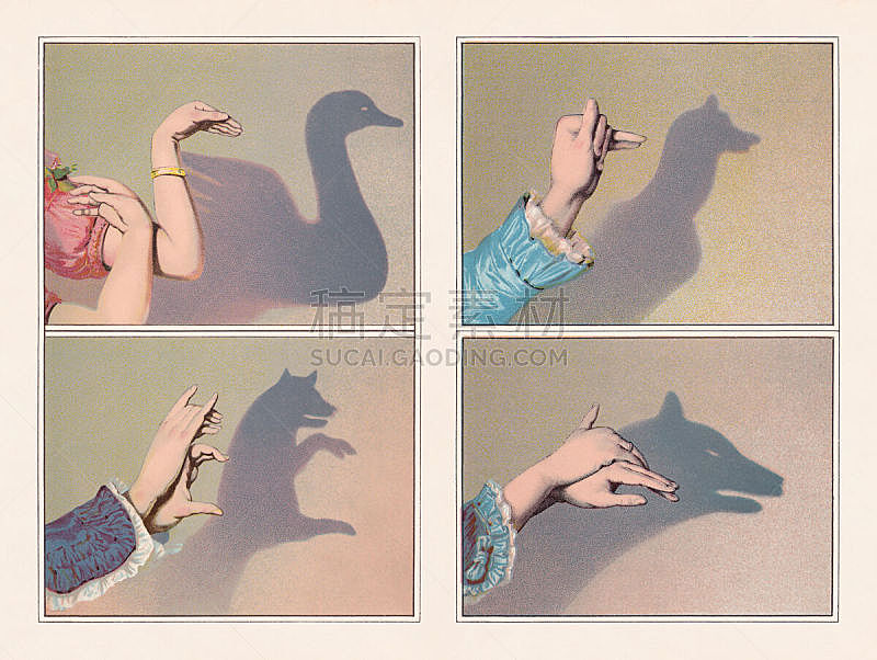 Hand shadow puppets: swan, bear, greyhound, wolf, chromolithograph, published 1888