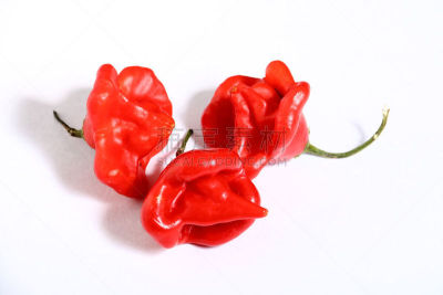辣椒,主教,芳香的,水平画幅,形状,灯笼椒,园艺,椒类食物,仅一朵花,白色