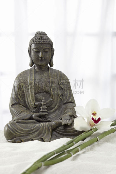 佛,电报机,麻省理工学院,植物温泉疗法,祈祷式,水治疗法,阴阳符,垂直画幅,兰花,禅宗