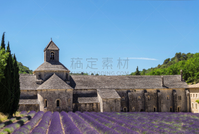 普罗旺斯,熏衣草,法国,修院,前面,花头,天空,褐色,芳香的,水平画幅