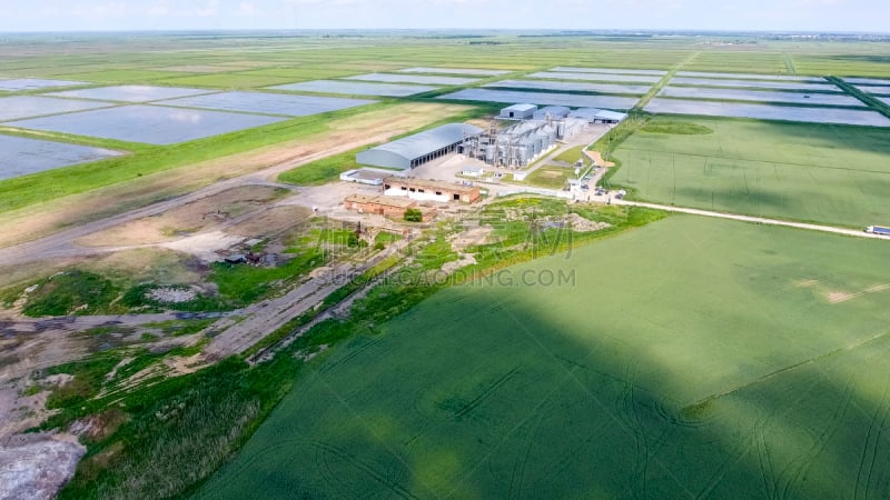 Plant for the drying and storage of grain