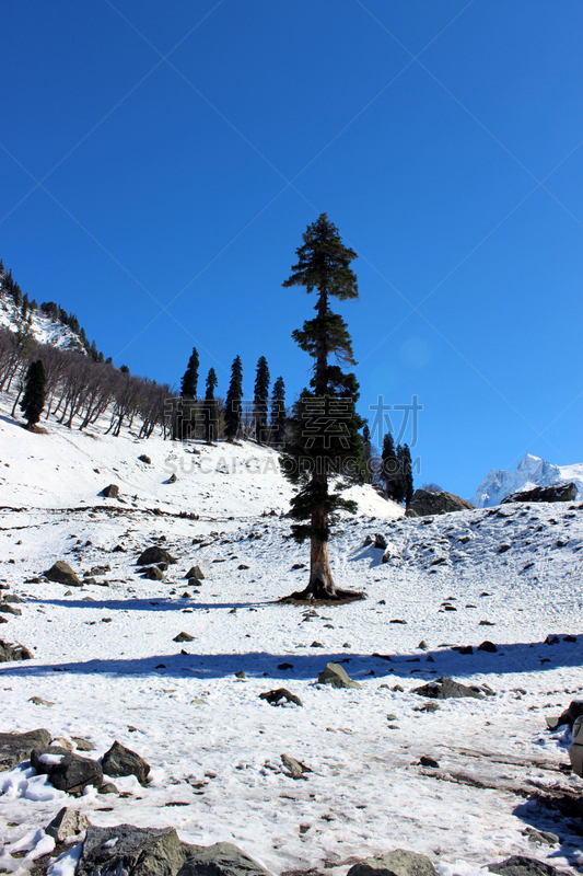 雪,冬天,印度,山谷,山,索马,查谟和克什米尔,垂直画幅,天空,气候